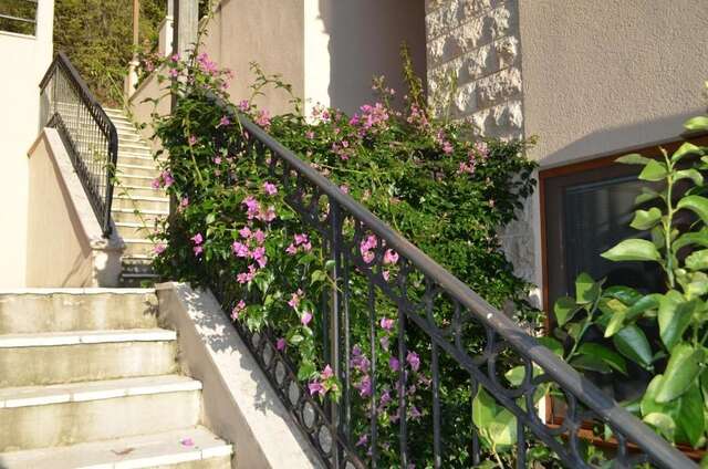 Апартаменты Sea view and pools apartments Херцег-Нови-50